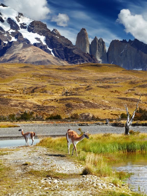 Torres del Paine mountains